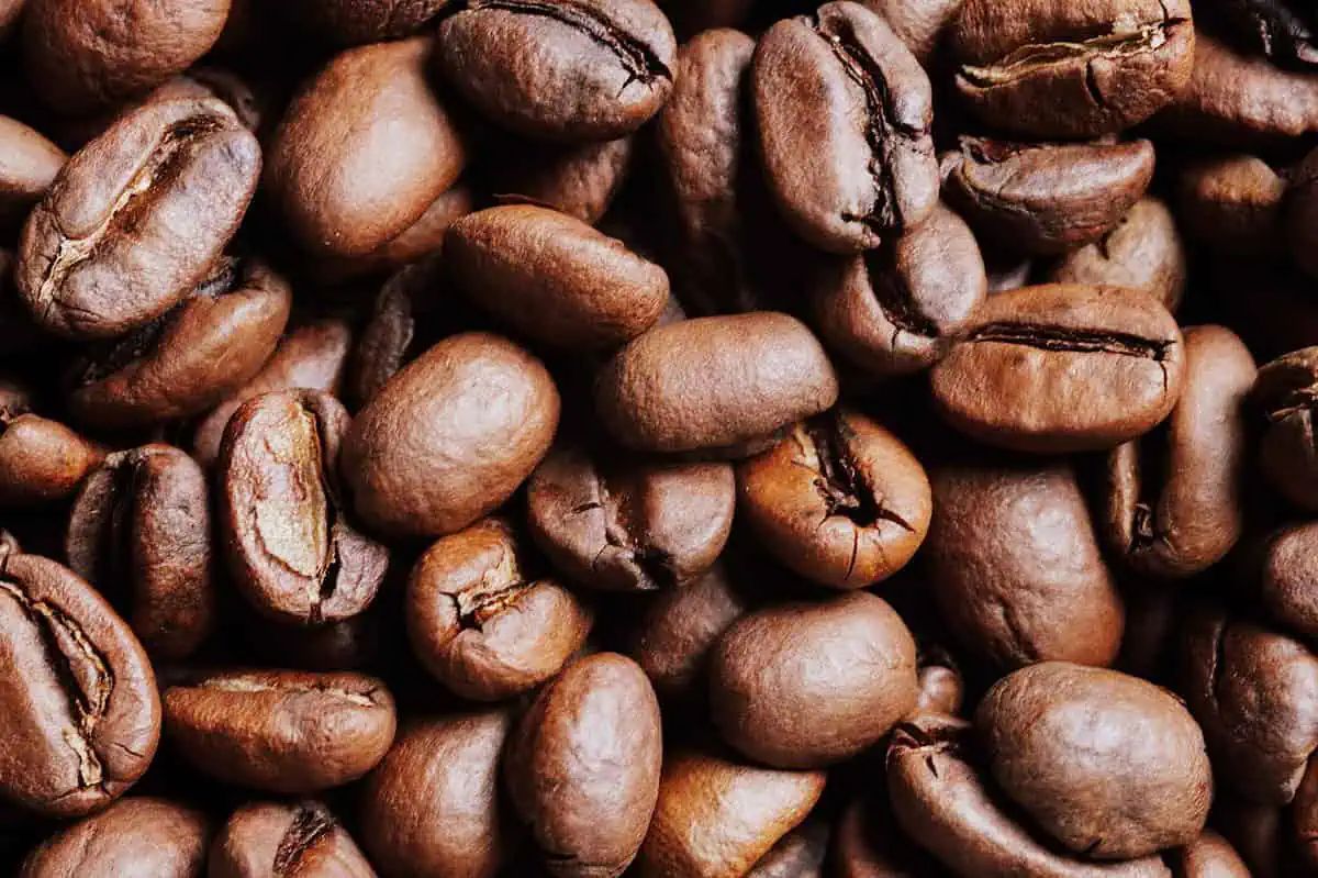 Co wyróżnia Brazil Santos wśród kaw arabica z Brazylii?
