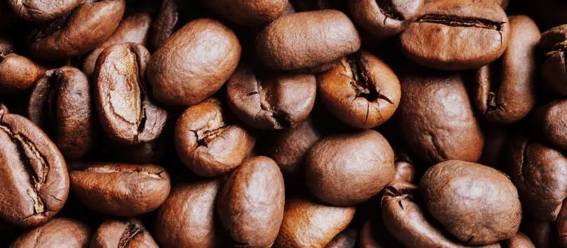 Co wyróżnia Brazil Santos wśród kaw arabica z Brazylii?
